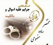 کتاب طلایی نسل سوم جرایم علیه اموال و مالکیت (حسین میرمحمد صادقی)