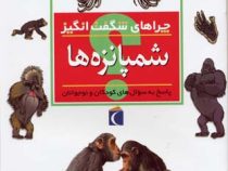 چراهای شگفت انگیز . پاسخ به سوال های کودکان و نوجوانان :شمپانزه ها (کمیلا دولا بدویر.علی ابراهیمی)