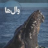 وال ها (واسیلی پاپاستاورو. محمد رضا افضلی) شاهد عینی