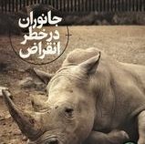 جانوران در خطر انقراض (بن هور و تام جکسون.محمد رضا افضلی) شاهد عینی
