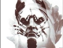 مجموعه داستان کوتاه 6 دانته و خرچنگ (فاستر والاس . مترجمان نیکا)