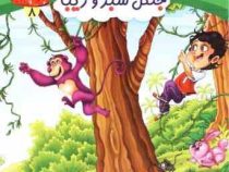 مجموعه چرخ و فلک 8 جنگل سبز و زیبا