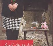 خوشبختی های کوچک (مژگان زارع)
