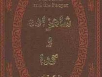 شاهزاده و گدا (مارک تواین . عطیه بنی اسدی .جیبی . چرم پارمیس)
