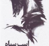 اسب سیاه : راهنمایی برای رسیدن به موفقیت (تادرز و اگی اگاس . مهسا صباغی)