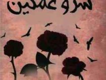 سرو غمگین (آگاتا کریستی . میمنت دانا)