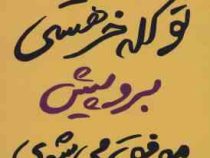 تو کله خر هستی بروپیش موفق می شوی (جین سینسرو . نفیسه معتکف)