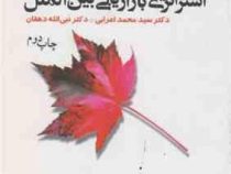 استراتژی بازاریابی بین الملل (سیدمحمد اعرابی، نبی الله دهقان)