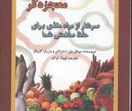 خوراکی های معجزه گر (میشل وان استراتن باربارا گریگز لویک اواکم)