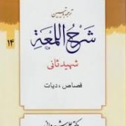 ترجمه و تبیین شرح اللمعه شهید ثانی . جلد 14 : قصاص،دیات ( شهید ثانی . علی شیروانی )