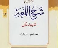 ترجمه و تبیین شرح اللمعه شهید ثانی . جلد 14 : قصاص،دیات ( شهید ثانی . علی شیروانی )