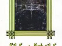 کرانه فعال بی کرانگی (کارلوس کاستاندا . مهران کندری)