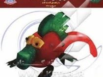 دنیای هنر تزئین میوه ها3 (با راهنمای قدم به قدم ساده ) (ایرینا ویکتورنا استپانوا . فاطمه محمود نژاد)