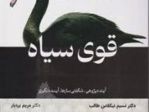 قوی سیاه :آینده پژوهی شگفتی سازها آینده نگری (نسیم نیکلاس طالب.مریم بردبار)