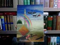 مجموعه شعر غریب مدینه (محسن حافظی)