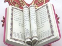 دیوان حافظ فالنامه (پالتویی . فانتزی رحل انار یلدا مبارک)